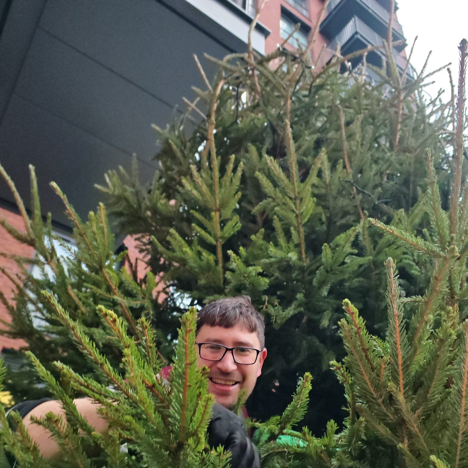 Good Elf team installing a large Christmas tree