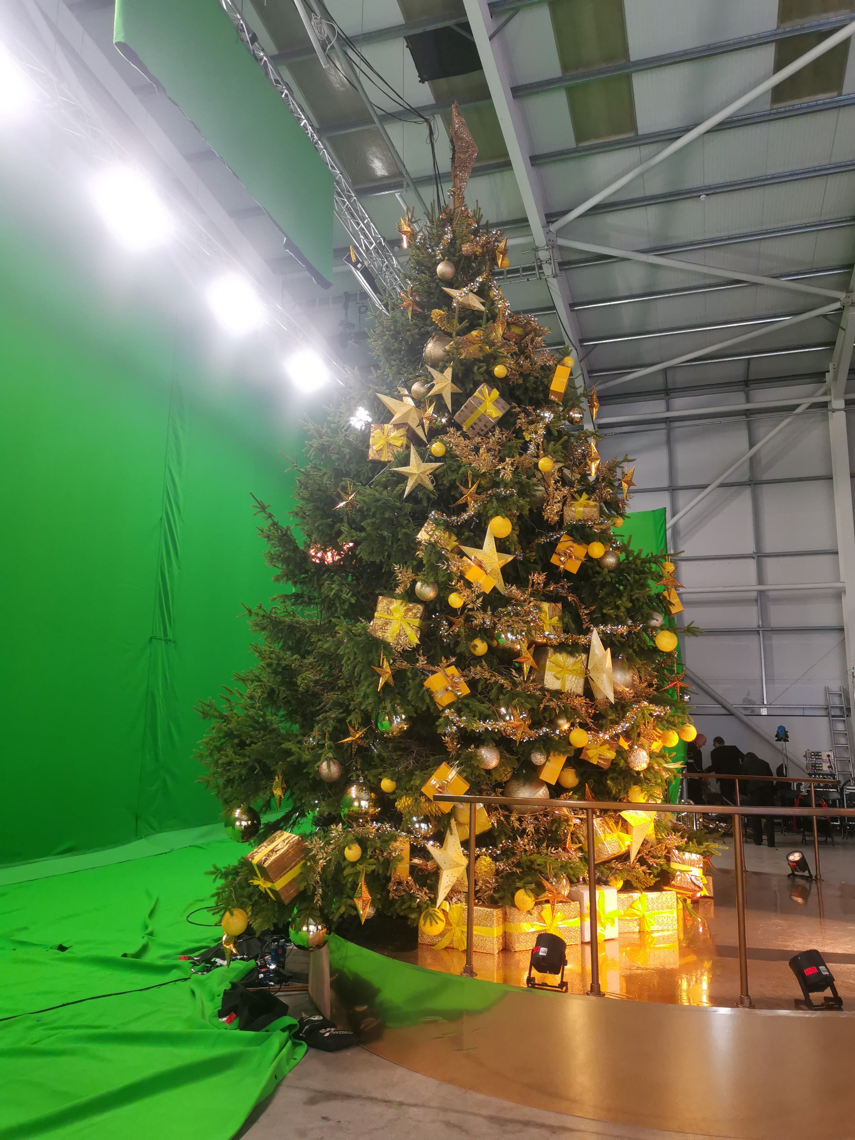 EuroMillions Christmas tree shoot