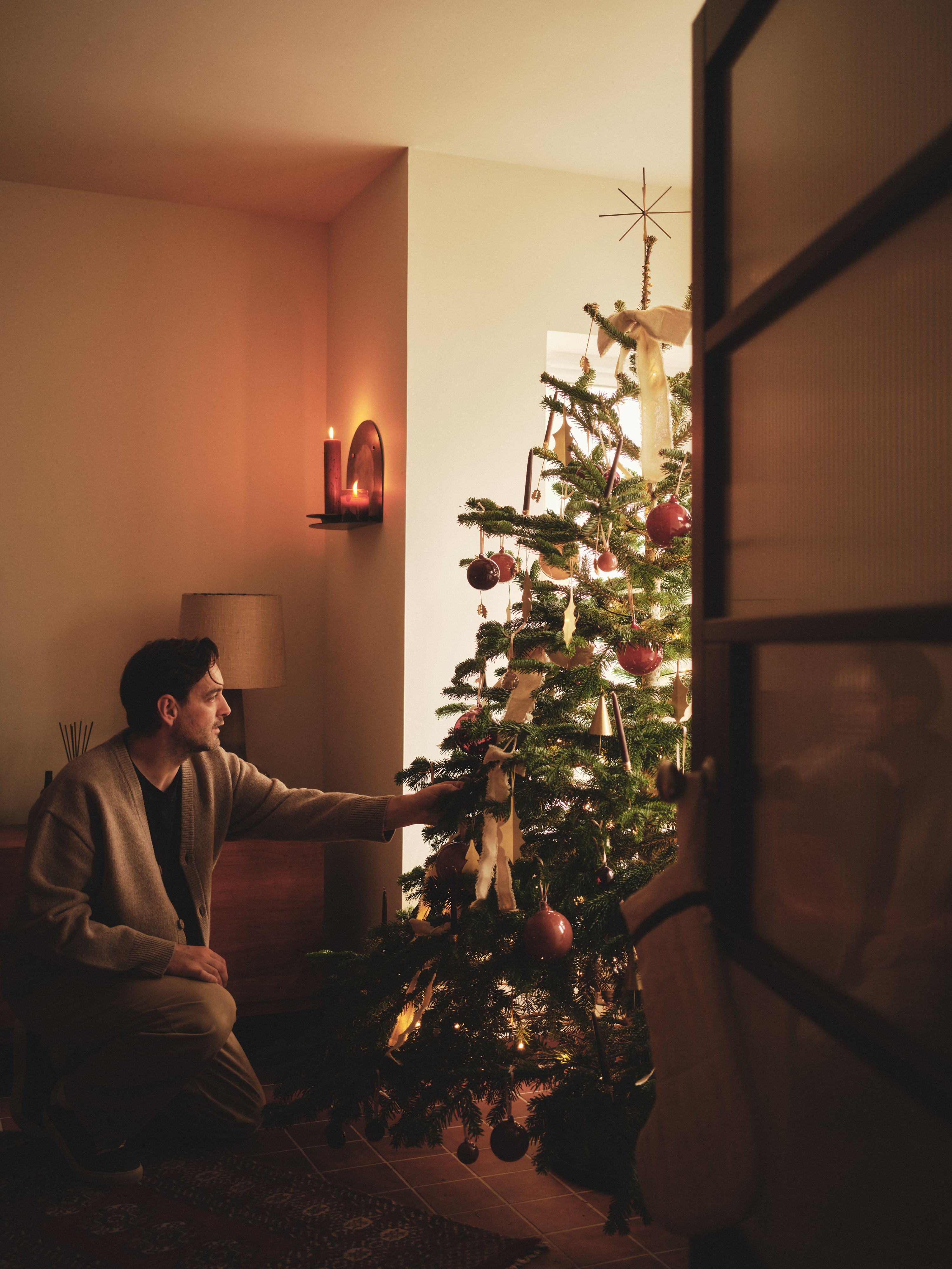 Christmas trees for set dressing