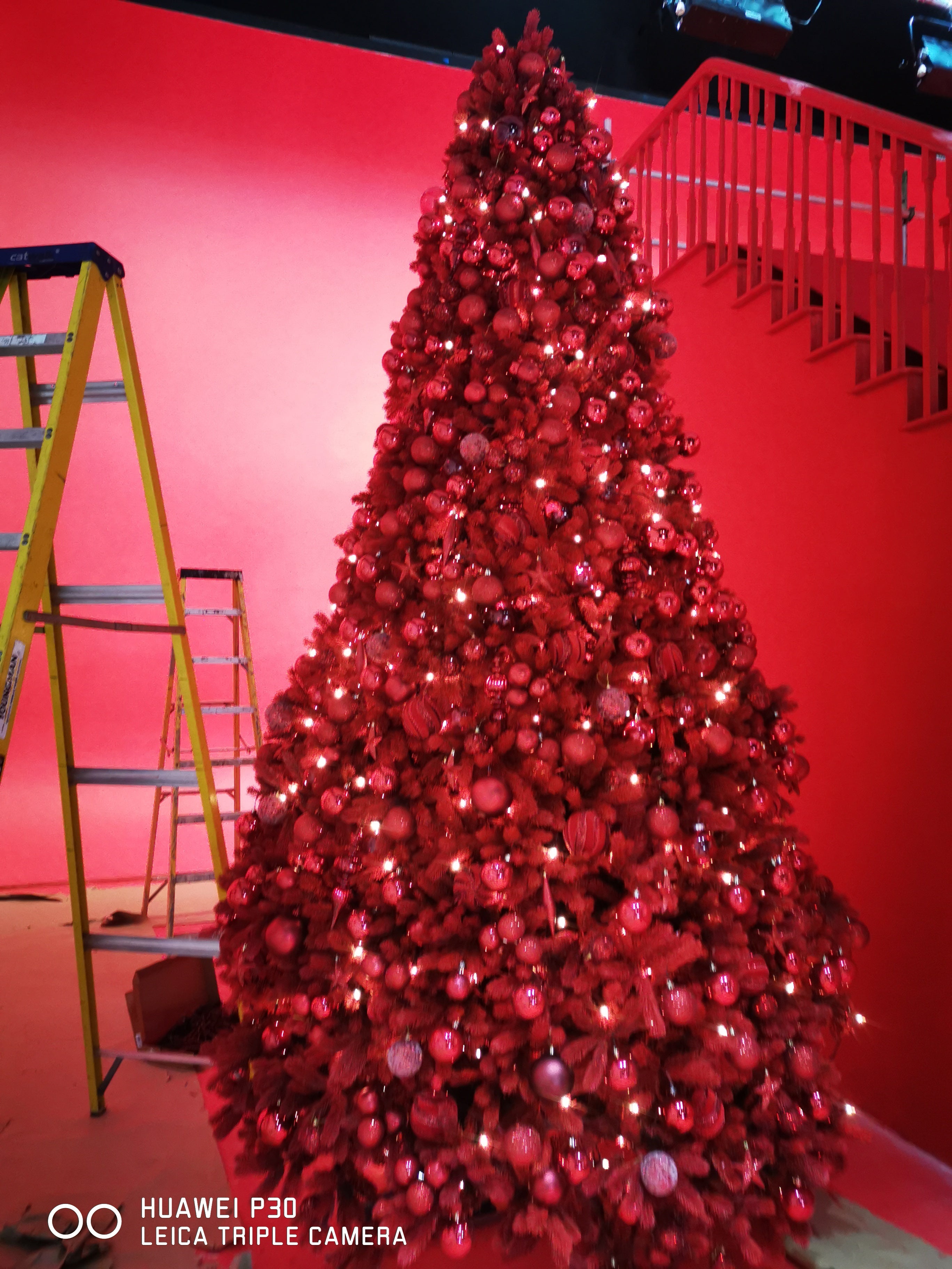 Freemans Christmas ad build