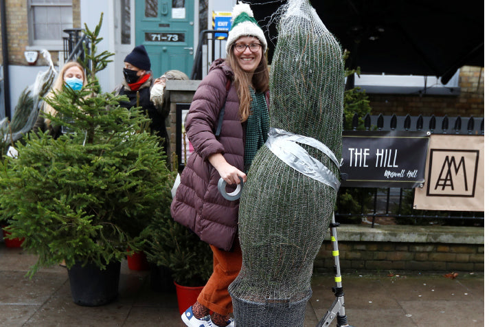 Christmas tree recycling scheme