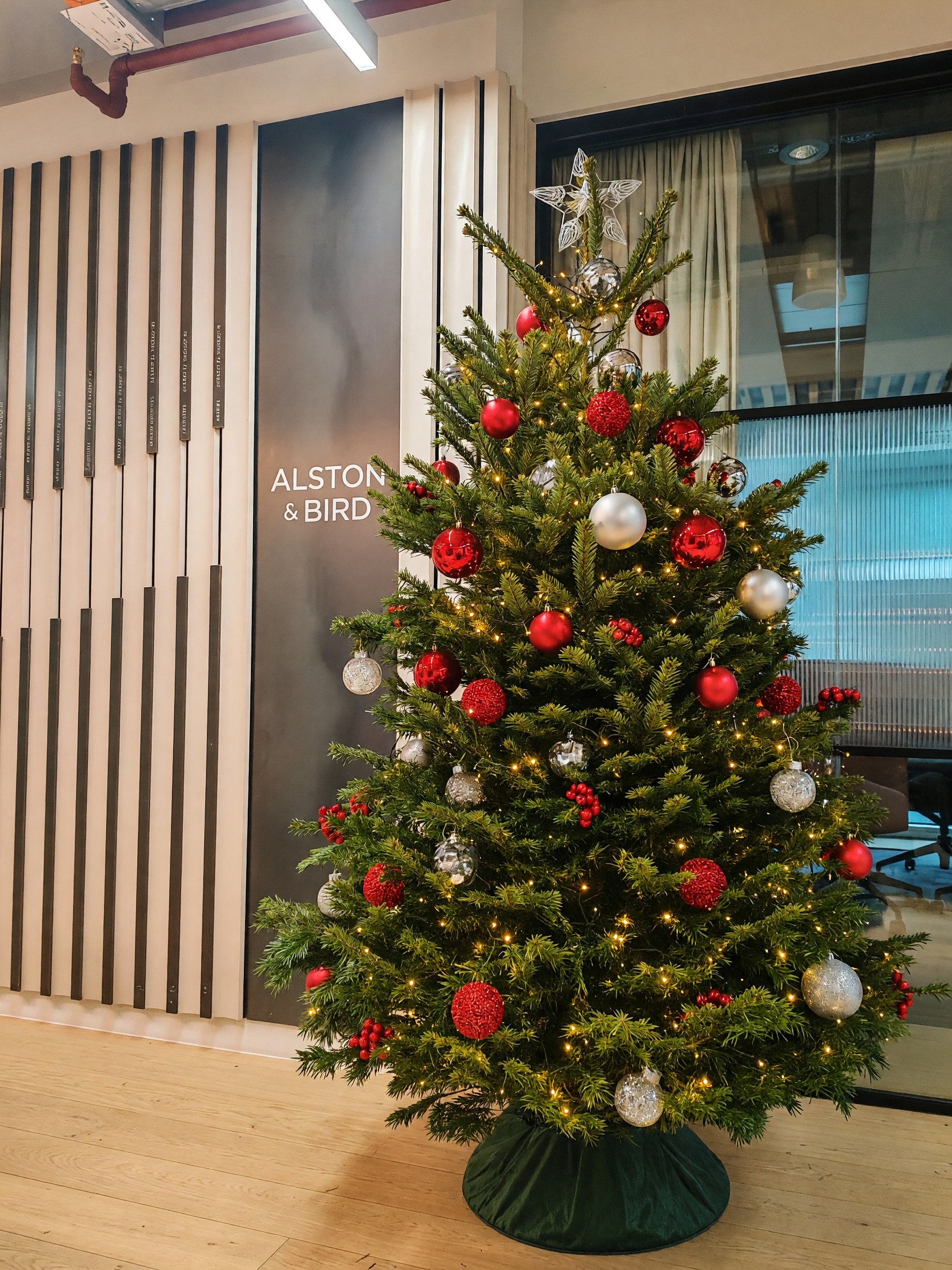 office tree hire