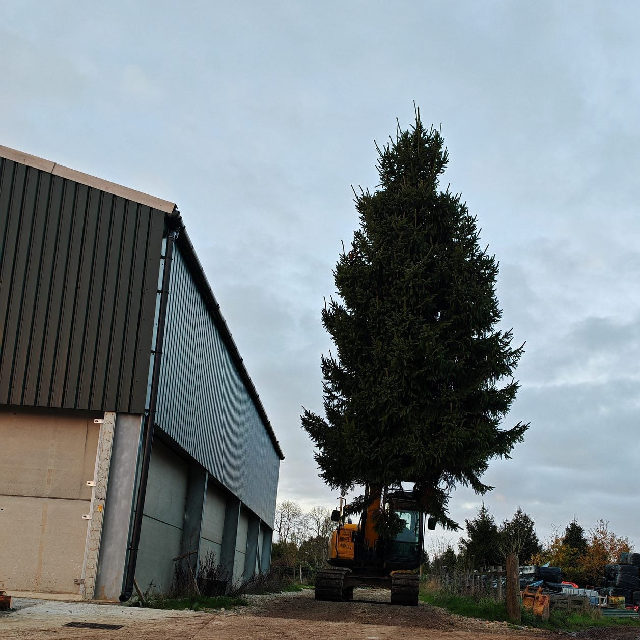 Large Christmas tree installation by Good Elf