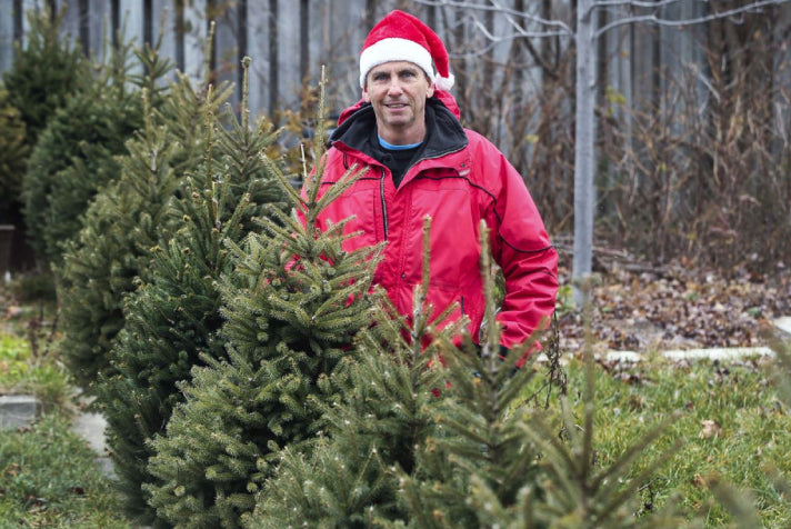 Charity Christmas tree fundraiser