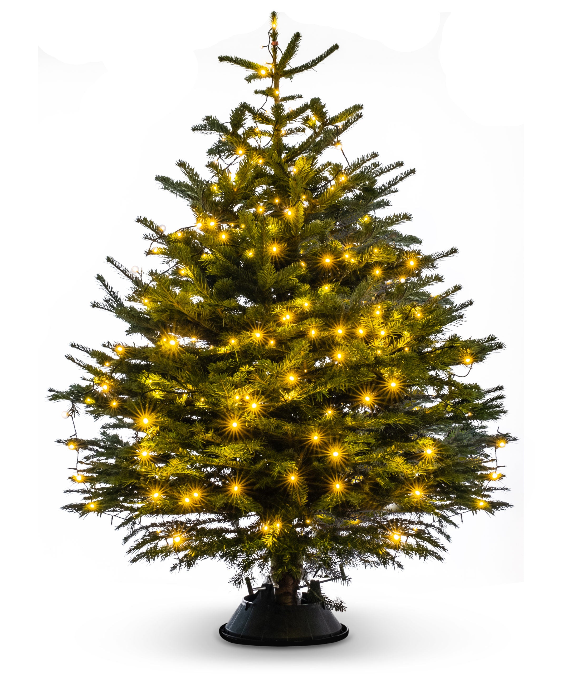 Non-drop Christmas tree